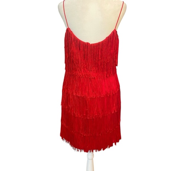 Morgan and Co Elegant Red Fringe Flapper Dress Size 13/14 Great Gatsby Party Fun - Picture 4 of 13